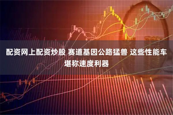 配资网上配资炒股 赛道基因公路猛兽 这些性能车堪称速度利器