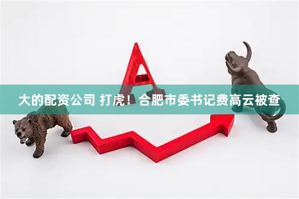 大的配资公司 打虎！合肥市委书记费高云被查