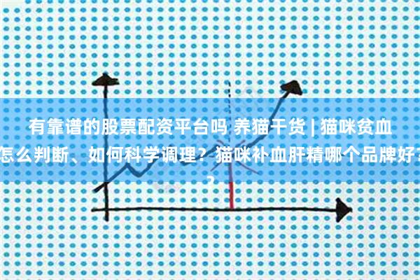 有靠谱的股票配资平台吗 养猫干货 | 猫咪贫血怎么判断、如何科学调理？猫咪补血肝精哪个品牌好？